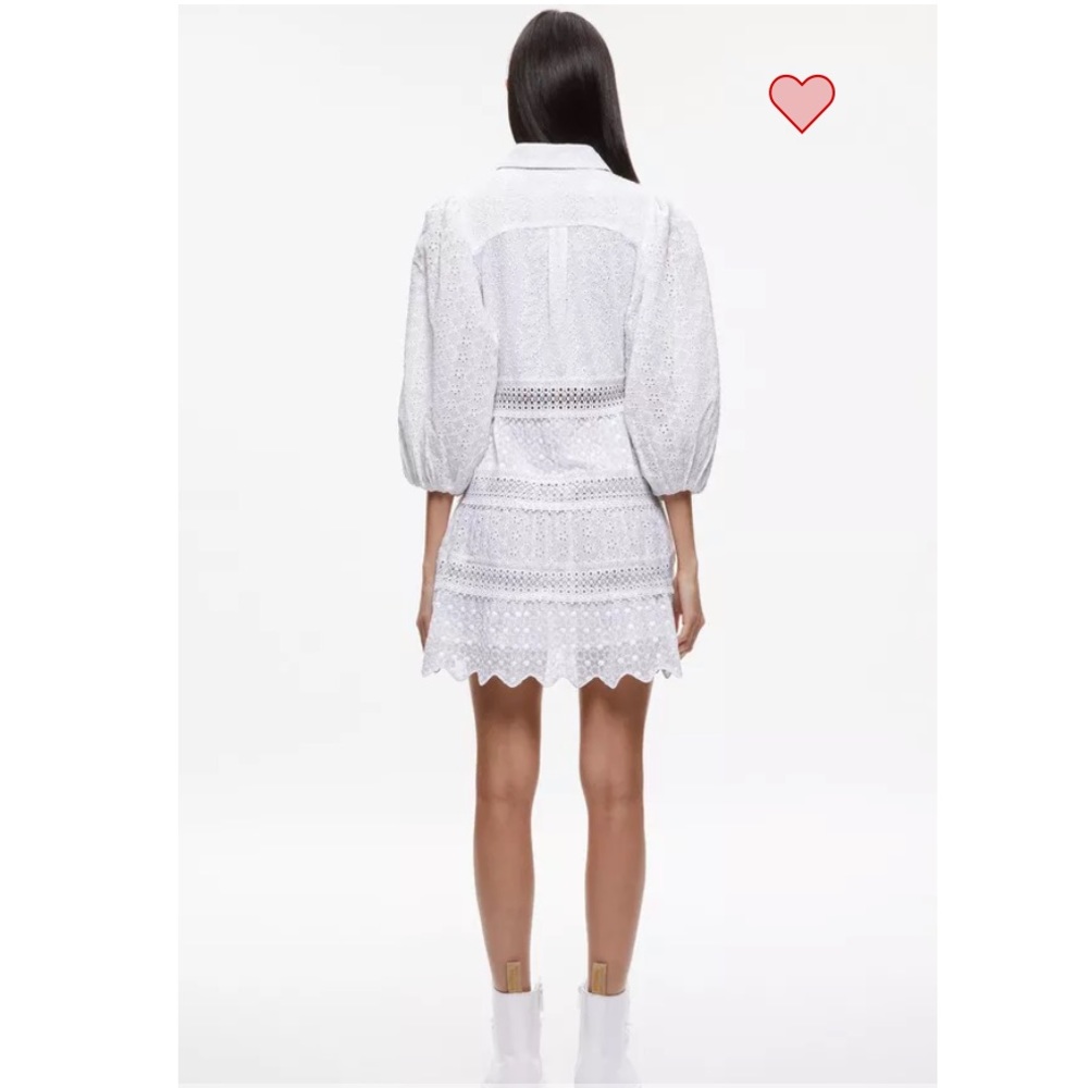 Alice + Olivia Blakesley Blouson Sleeve Eyelet Mini Dress - Picture 2 of 9